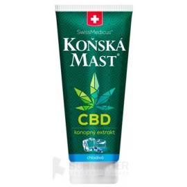 KONSKÁ MASŤ s CBD chladivá
