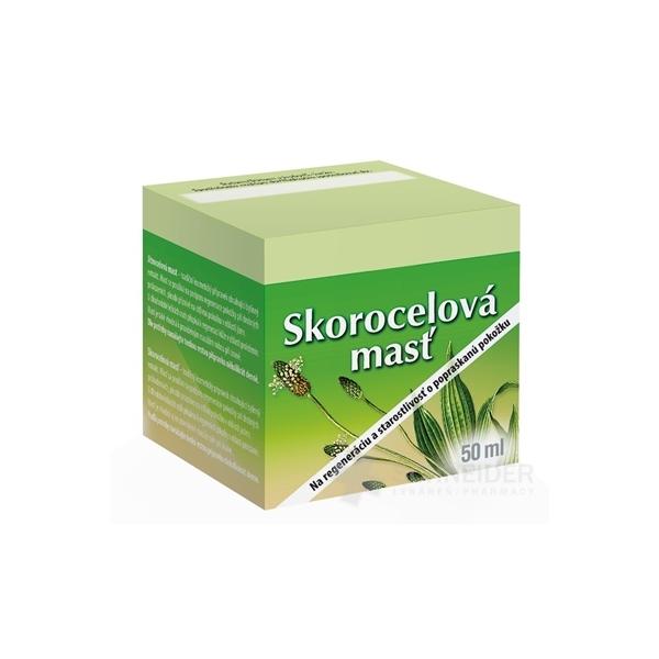 HERBACOS SKOROCELOVÁ MASŤ