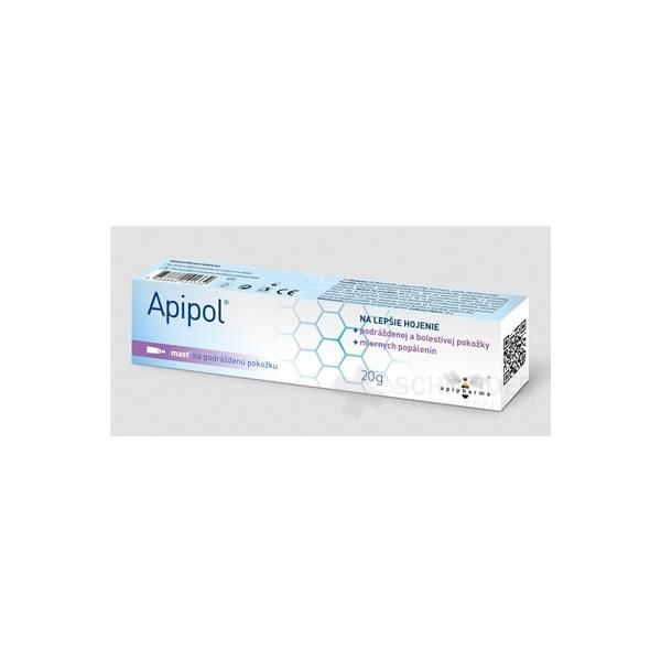 Apipol