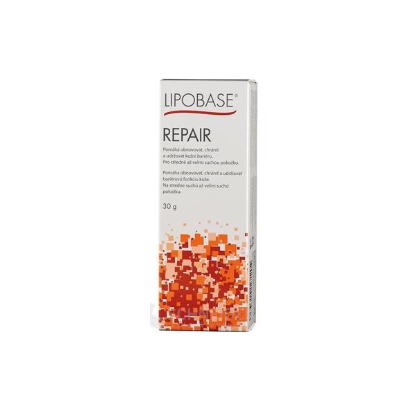 LIPOBASE REPAIR